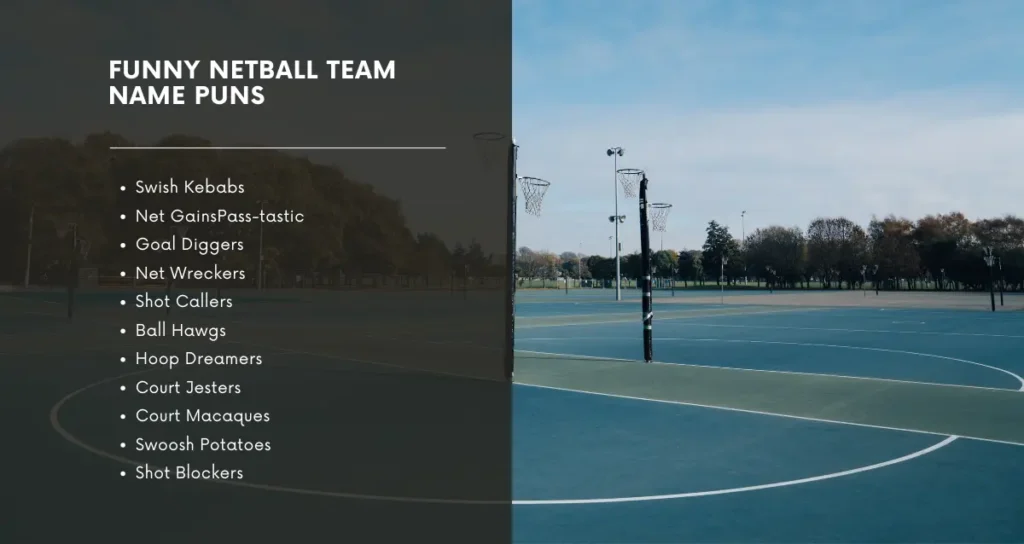 Funny Netball Team Name Puns