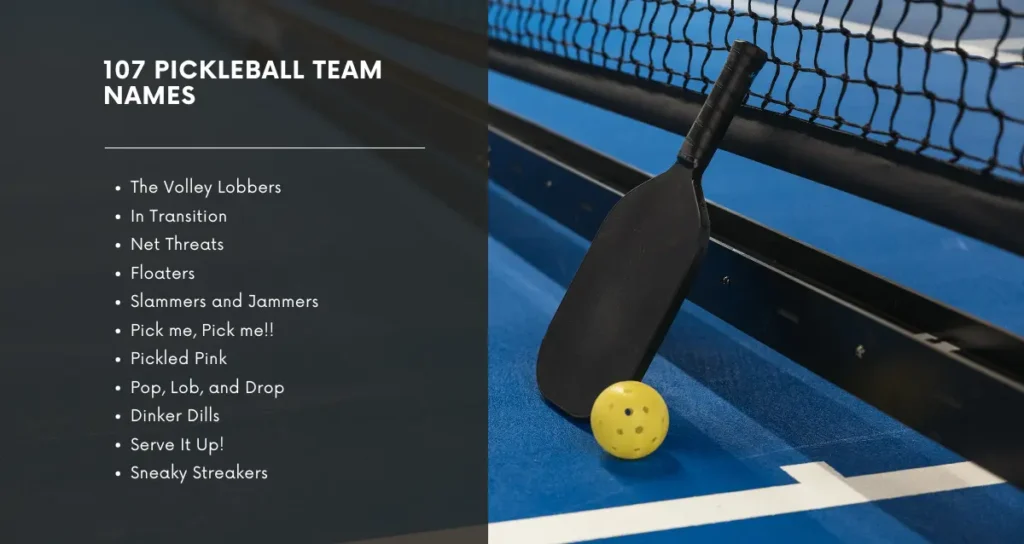 107 Pickleball Team Names