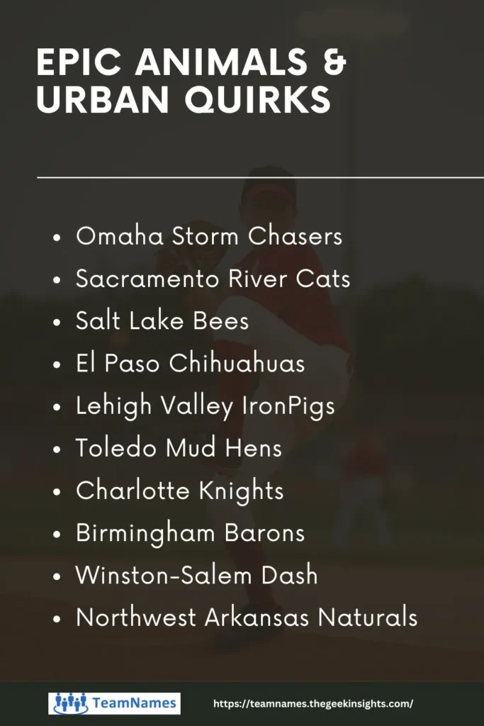 Epic Animals & Urban Quirks