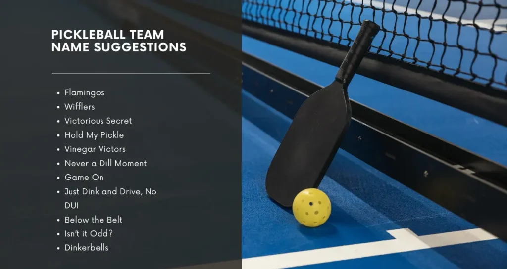 Pickleball Team Name Suggestions
