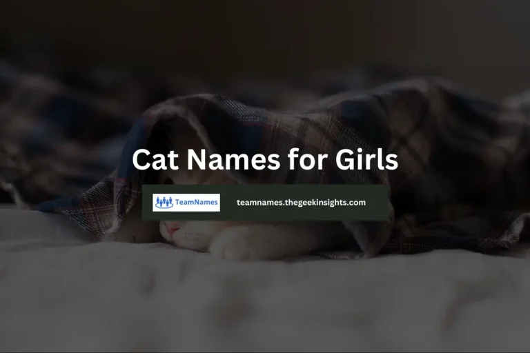 Cat Names for Girls