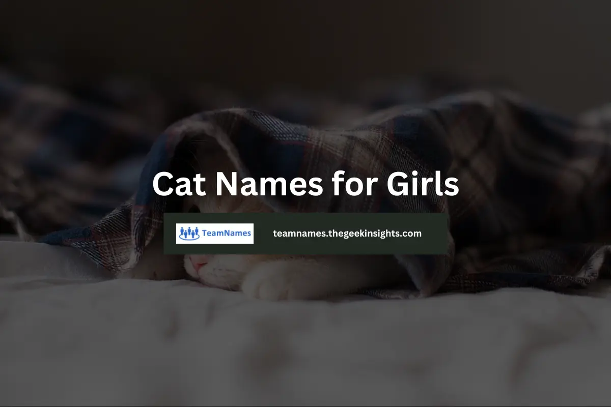 Cat Names for Girls