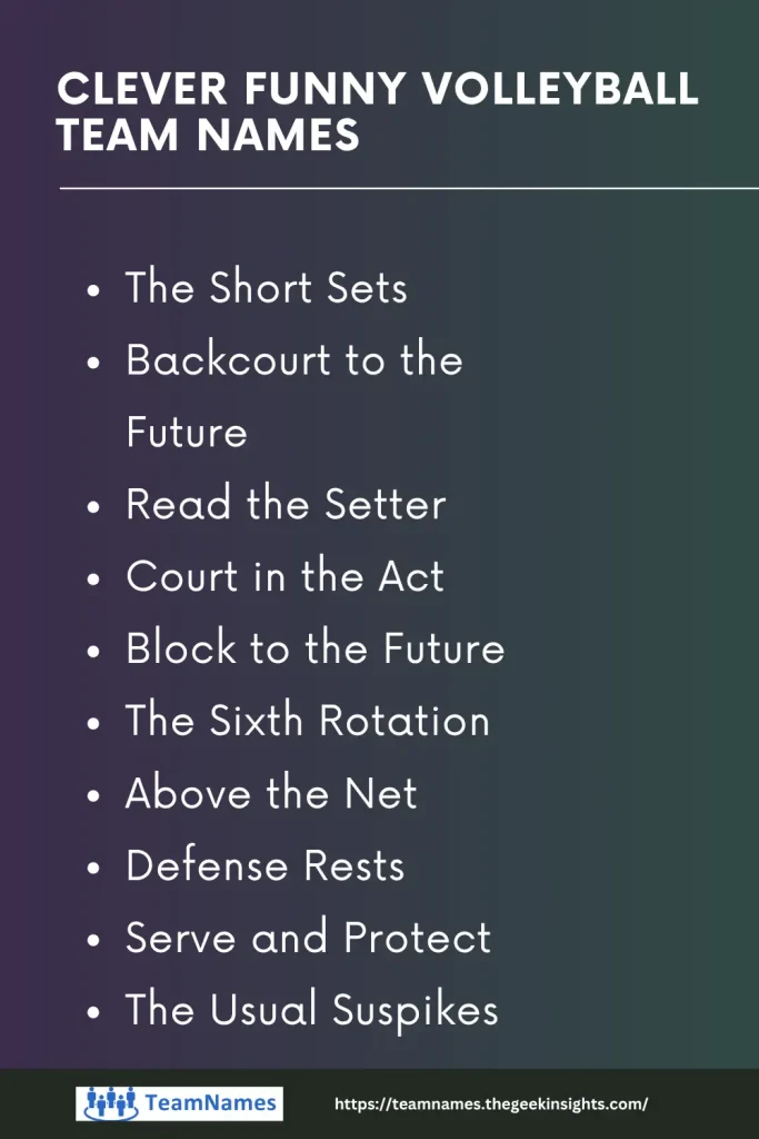 Clever Funny Volleyball Team Names